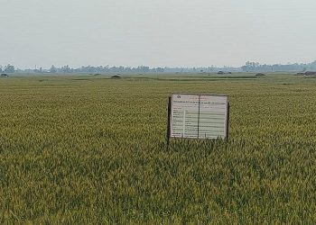 ‘सुपर जोन र जोन कार्यक्रम’ले बढायो उत्पादन