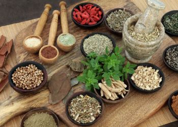 बिरामी हुँदा जडीबुटीकै भर