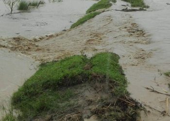 कैलाली तथा आसपासका ठाउँमा वर्षा हुँदै