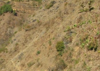 बैतडीमा भीरबाट लडेर महिलाको मृत्यु