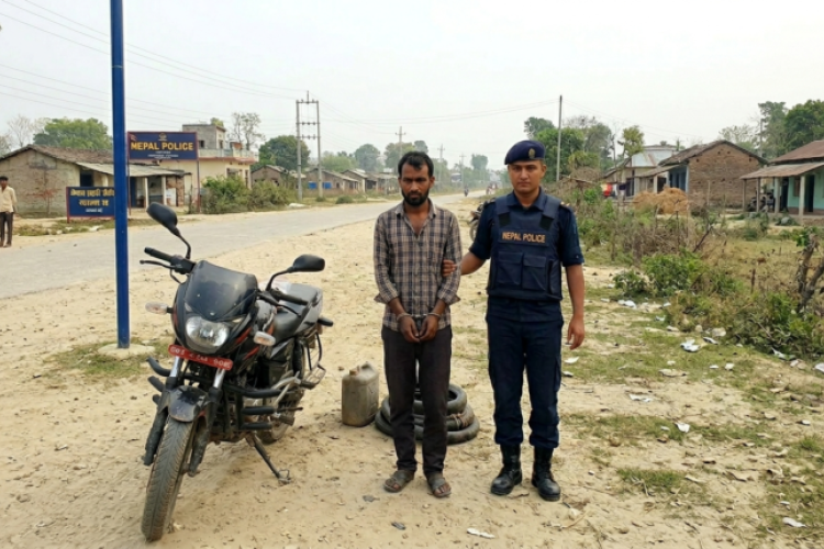 कैलालीमा भारतीय तस्कर गुप्ता पक्राउ, साढे २ लाखको डिजेल बरामद