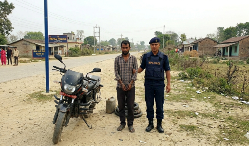 कैलालीमा भारतीय तस्कर गुप्ता पक्राउ, साढे २ लाखको डिजेल बरामद